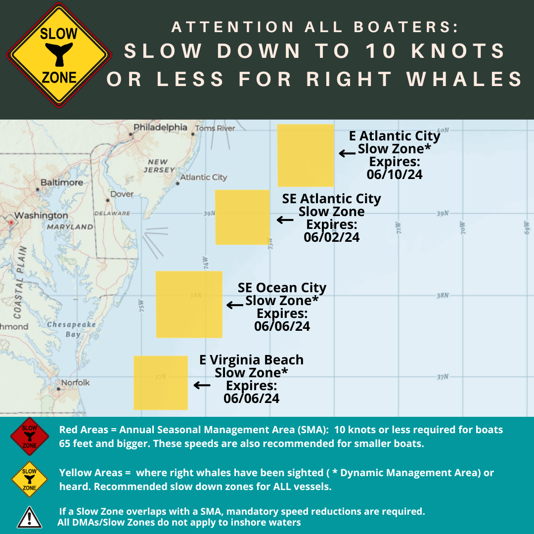NOAA whale slow zone graphic