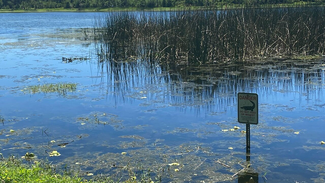 Man killed in suspected gator attack at John S. Taylor Park in Largo, May 31, 2022