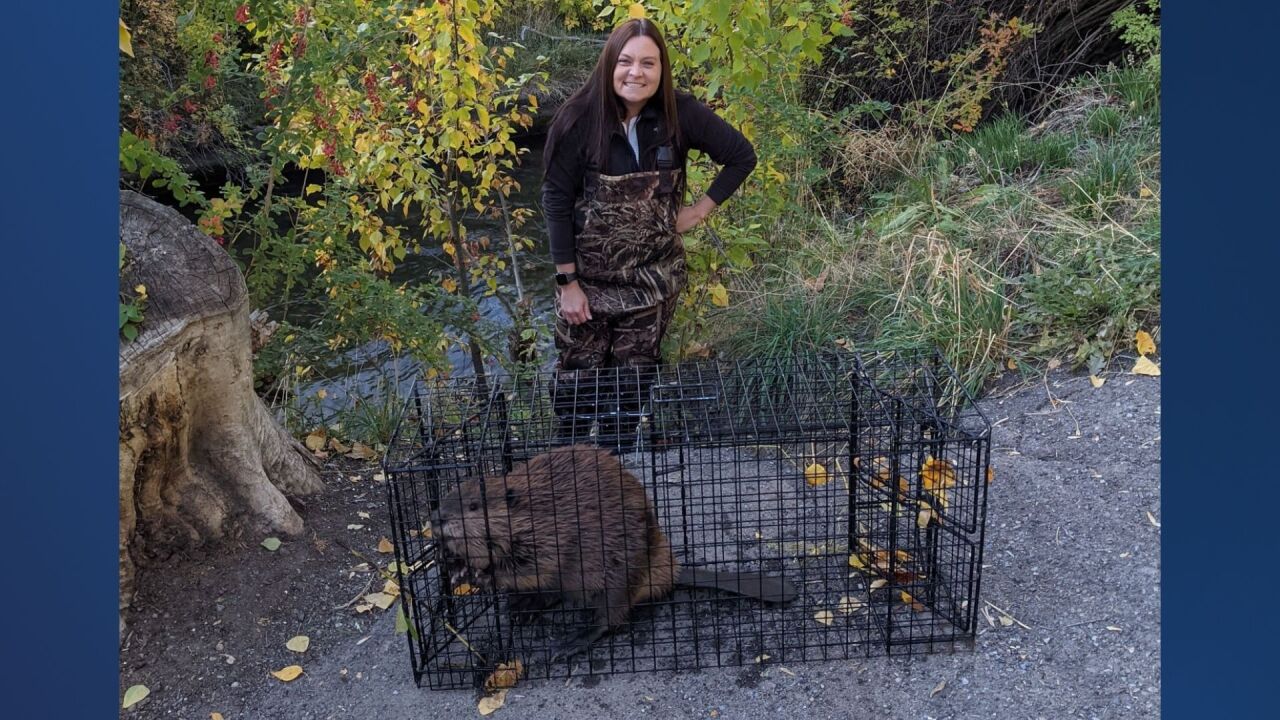 Untitled design (50).jpg