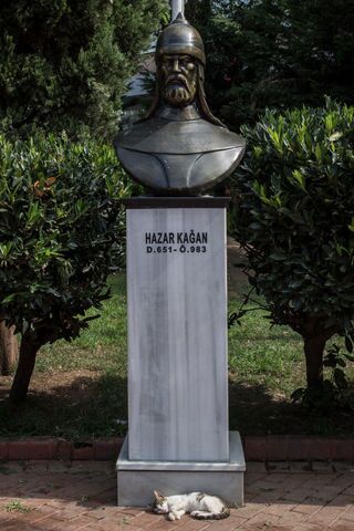 Photos: This place is known as 'The City of Cats'