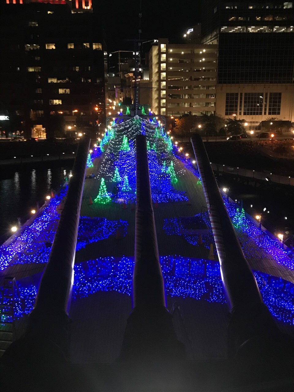 thumbnail_WinterFest Lights.jpg