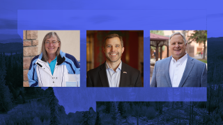 Montana Independents