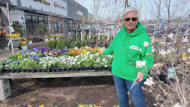 Screenshot 2026-03-20 at 5.19.14 PM.png