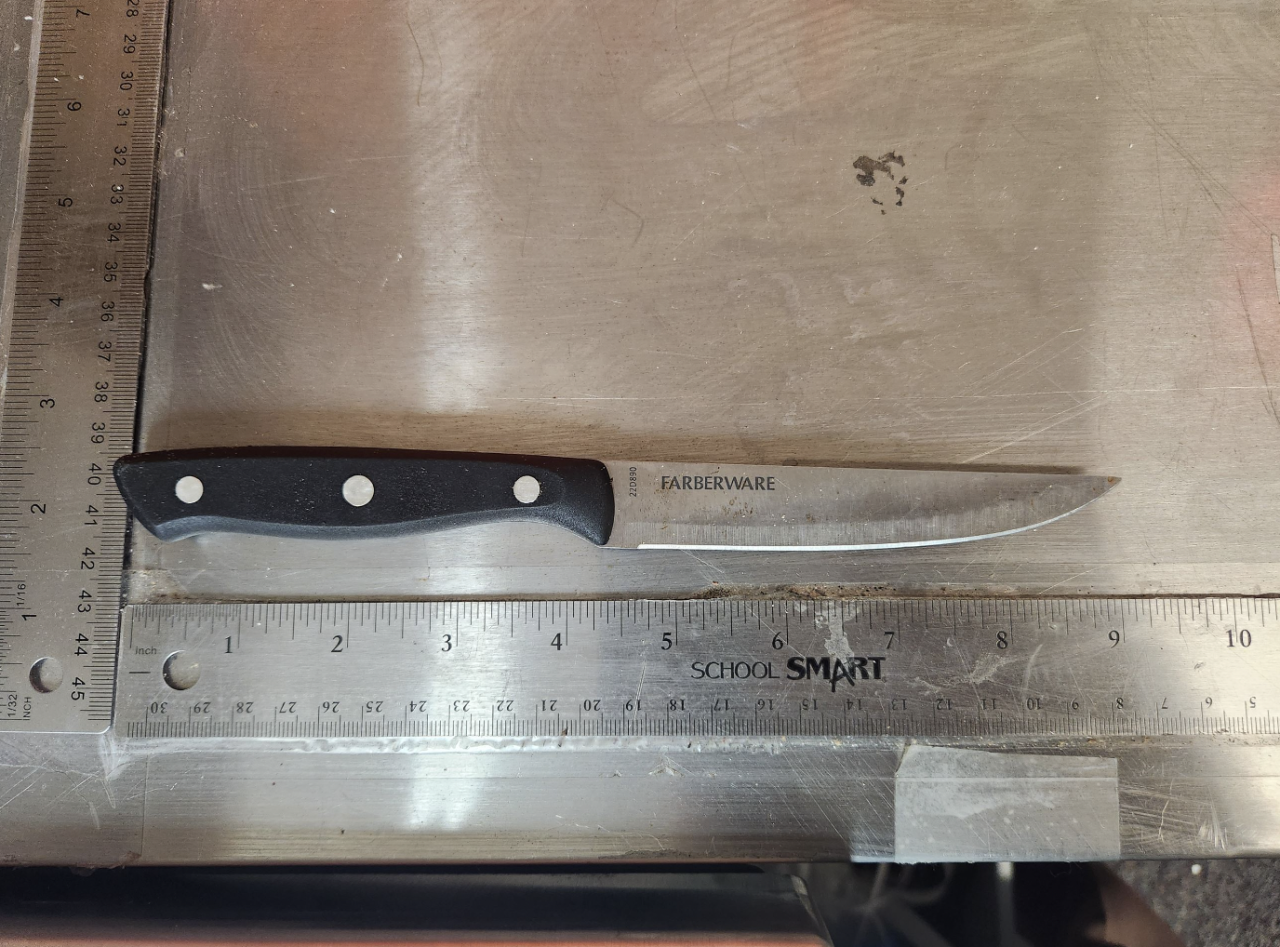 Knife used to stab roommate in Van Buren County