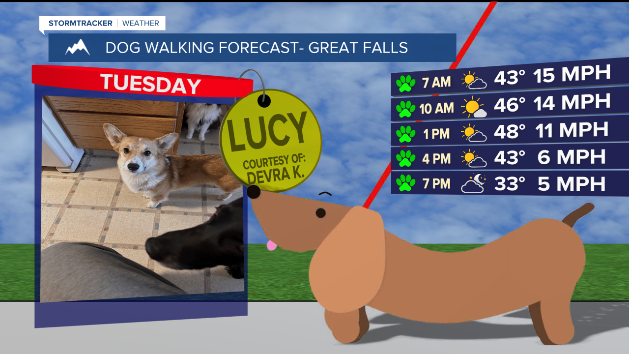 Dog Walking Forecast-Great Falls