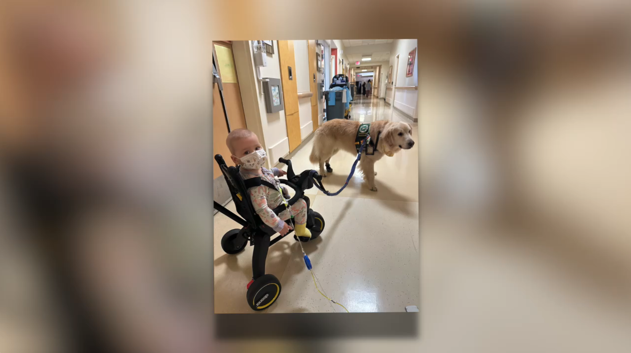 Screenshot 2025-09-16 at 5.10.11 PM.png