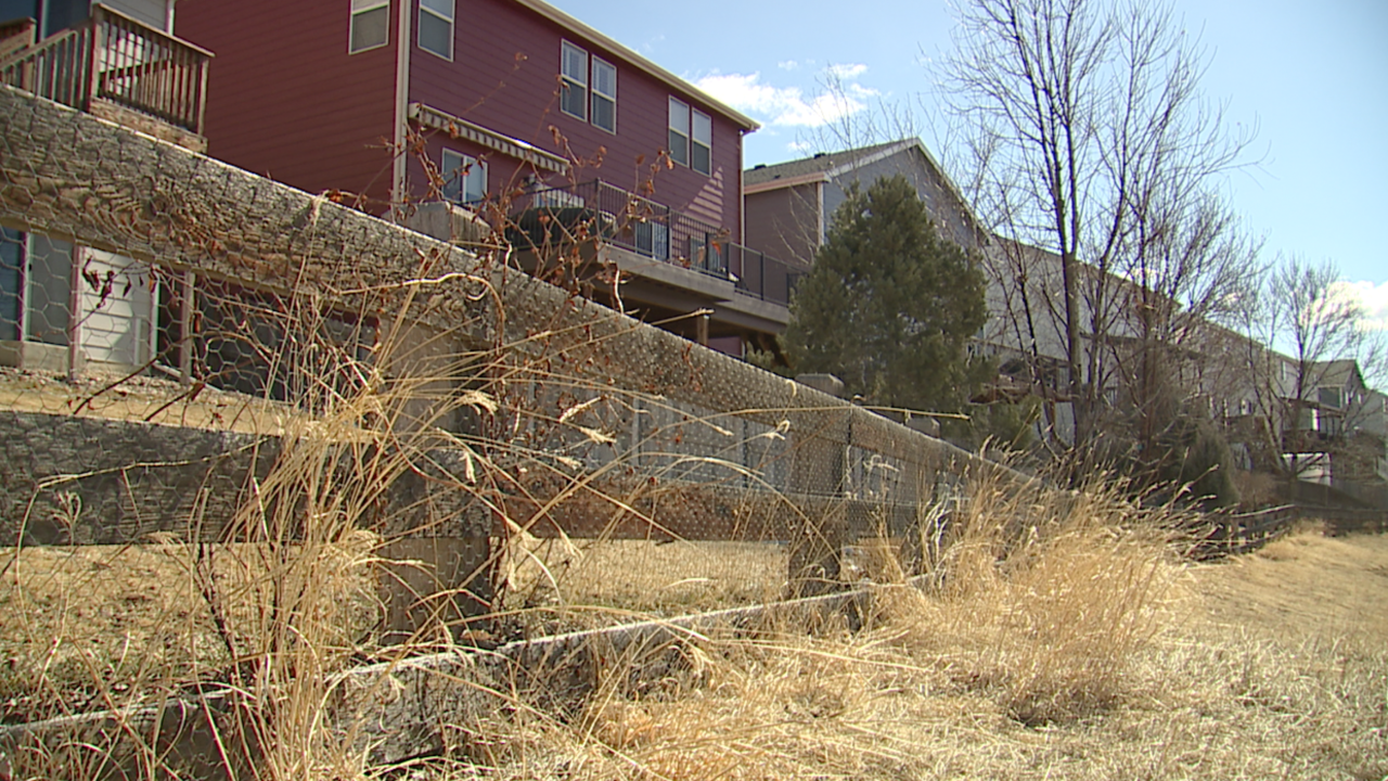 Neighbors Question Erie S Fencing Requirement After Recent Coyote Attacks
