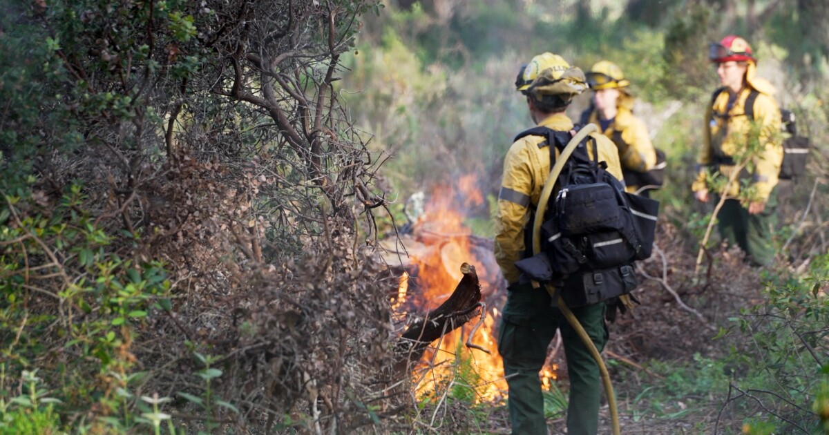 See how fire crews conduct prescribed burns at Montaña de Oro State Park