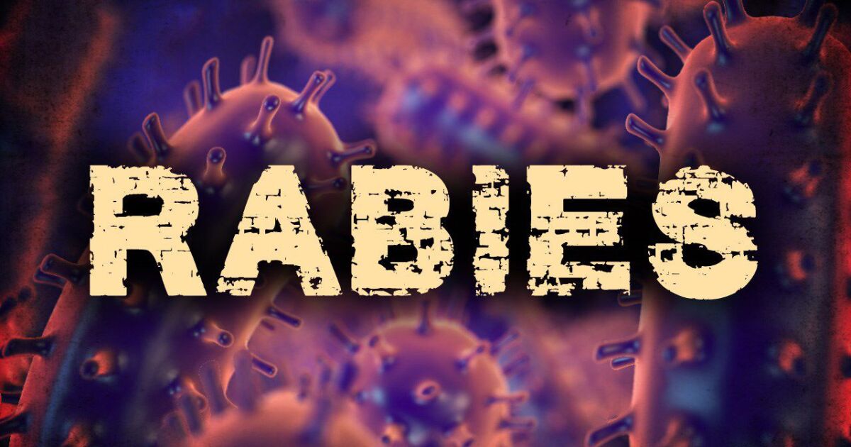 Leon County health department issues rabies advisory