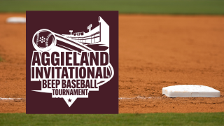 Beep Baseball tournament