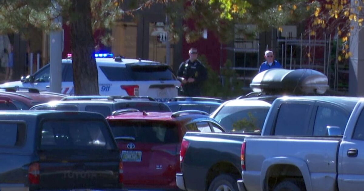 Man charged after mall incident involving 'replica gun' - Vimarsana News