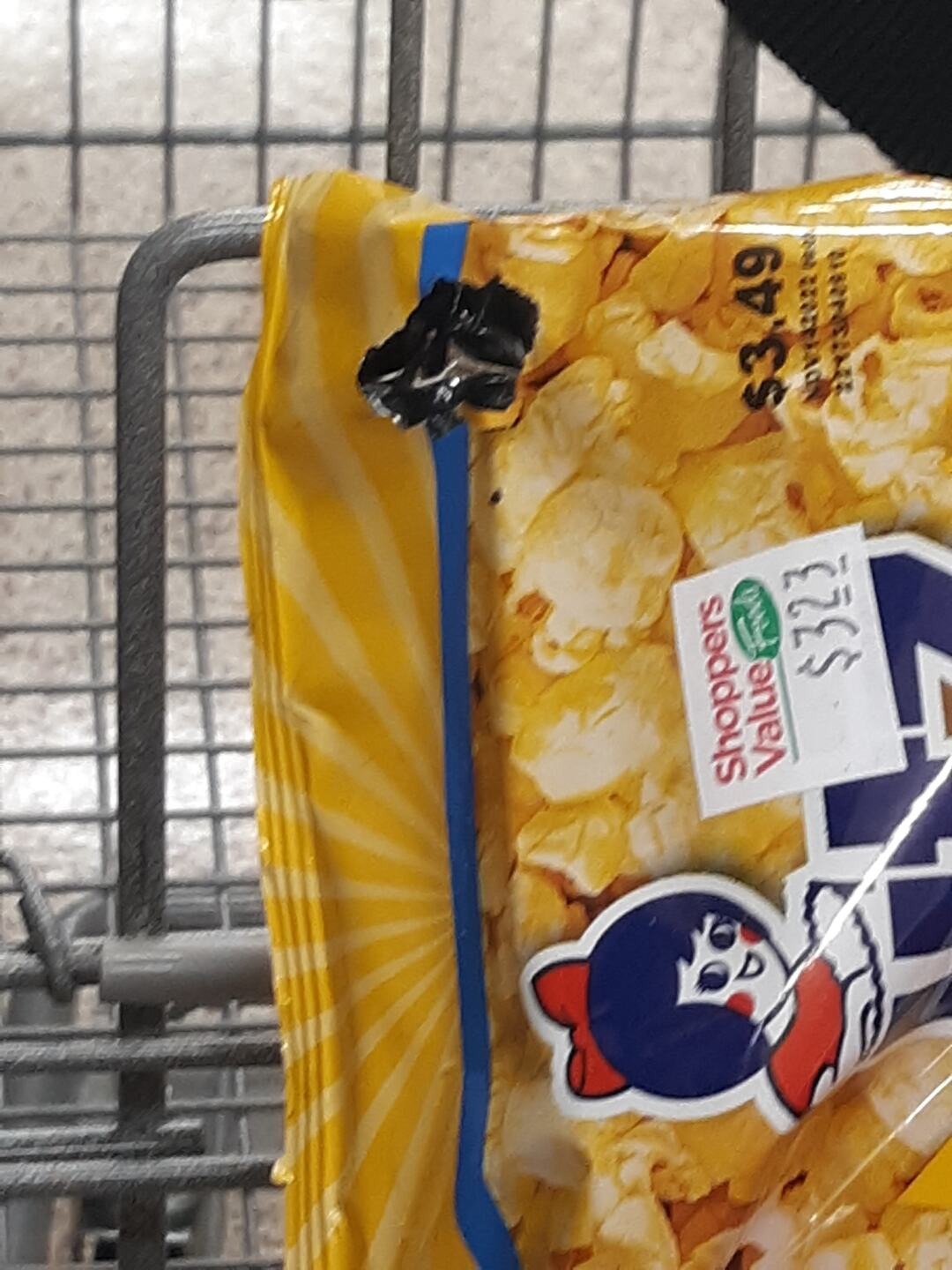 Snake in Chips Kenbridge 1.jpg