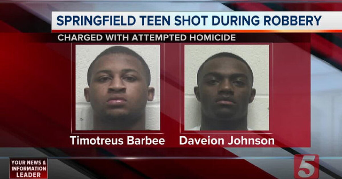 2 In Custody In Teen's Shooting In Springfield