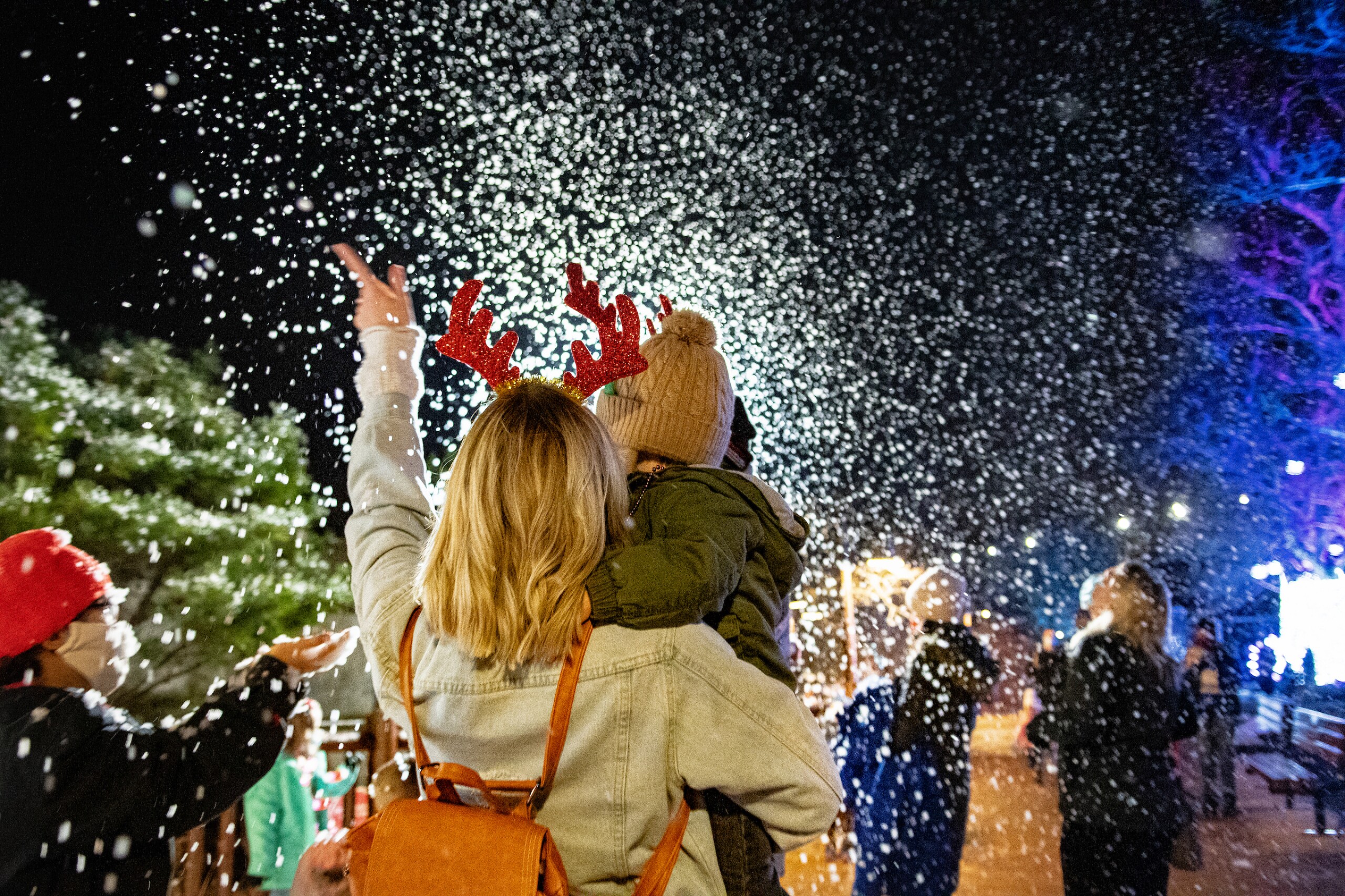 Wild Winter Lights returns to the Cleveland Metroparks Zoo