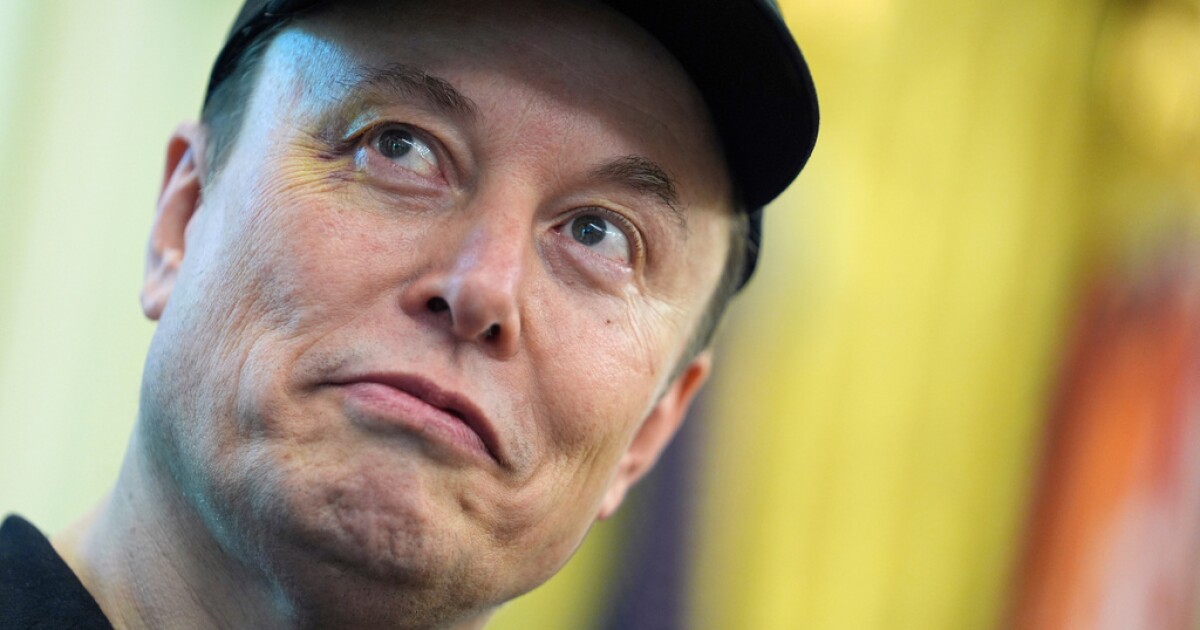 Von Elon Musk bis zum ehemaligen Prinz Andrew: Ein Who's Who der ...