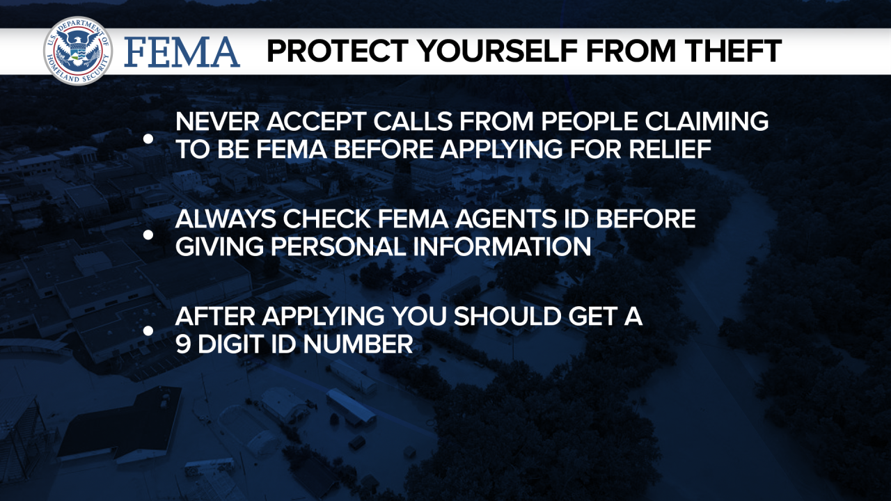 FEMA THEFT.png