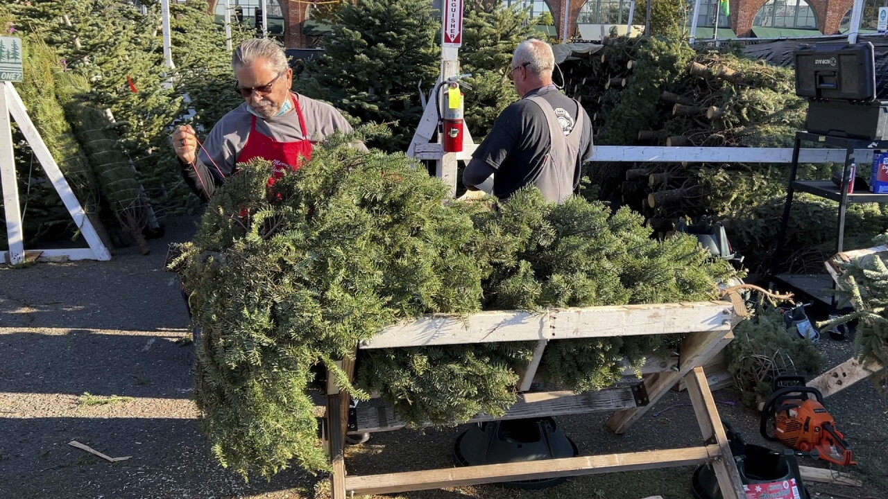 Christmas Tree