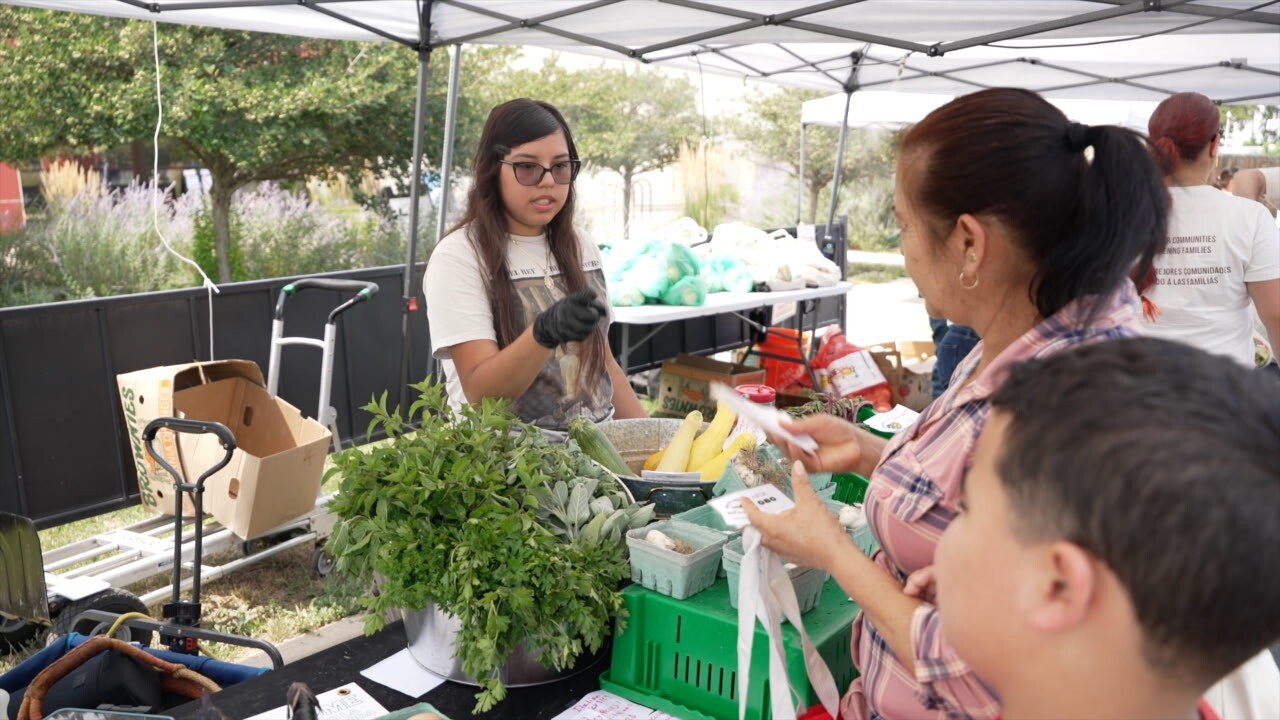 Huerta Urbana.jpg