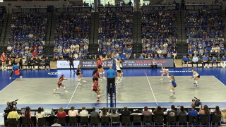 kentucky louisville volleyball