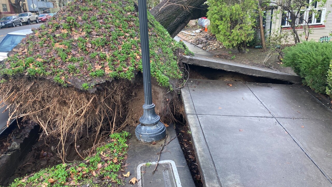 California Storms