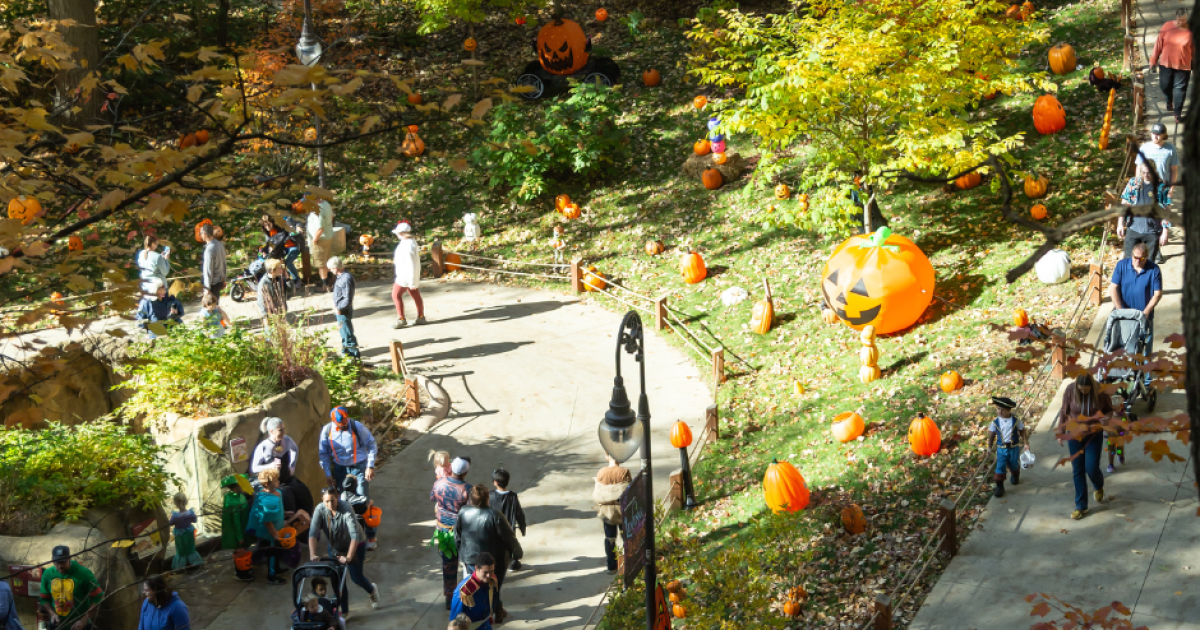 Zoo Goes Boo returning to John Ball Zoo starting on October 13 - Vimarsana News