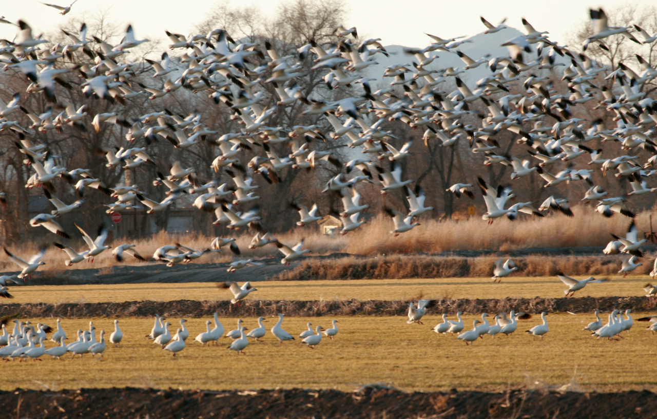 Screen Shot 2021-02-26 at 12.02.52 PM.png