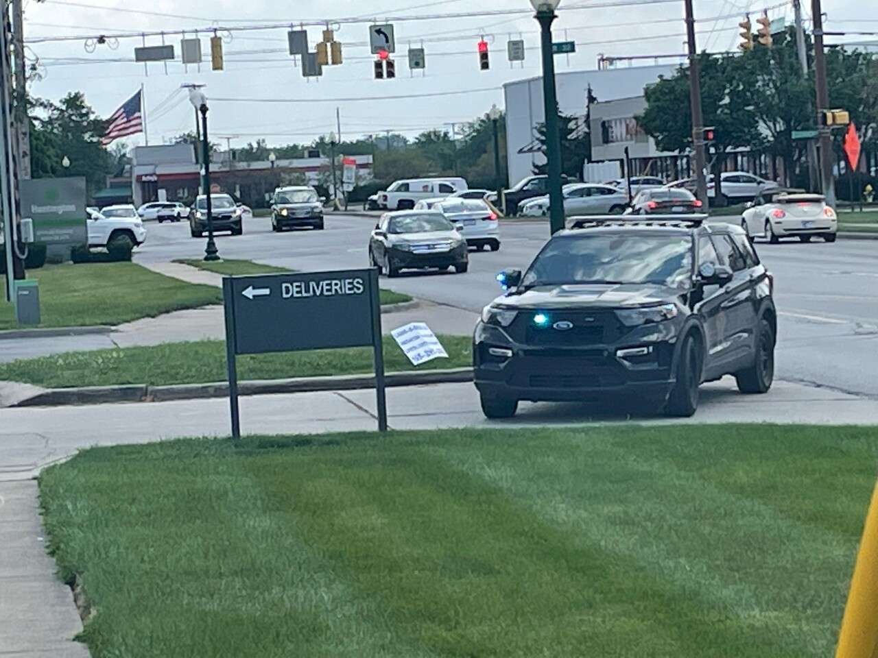 hamilton library.jpg