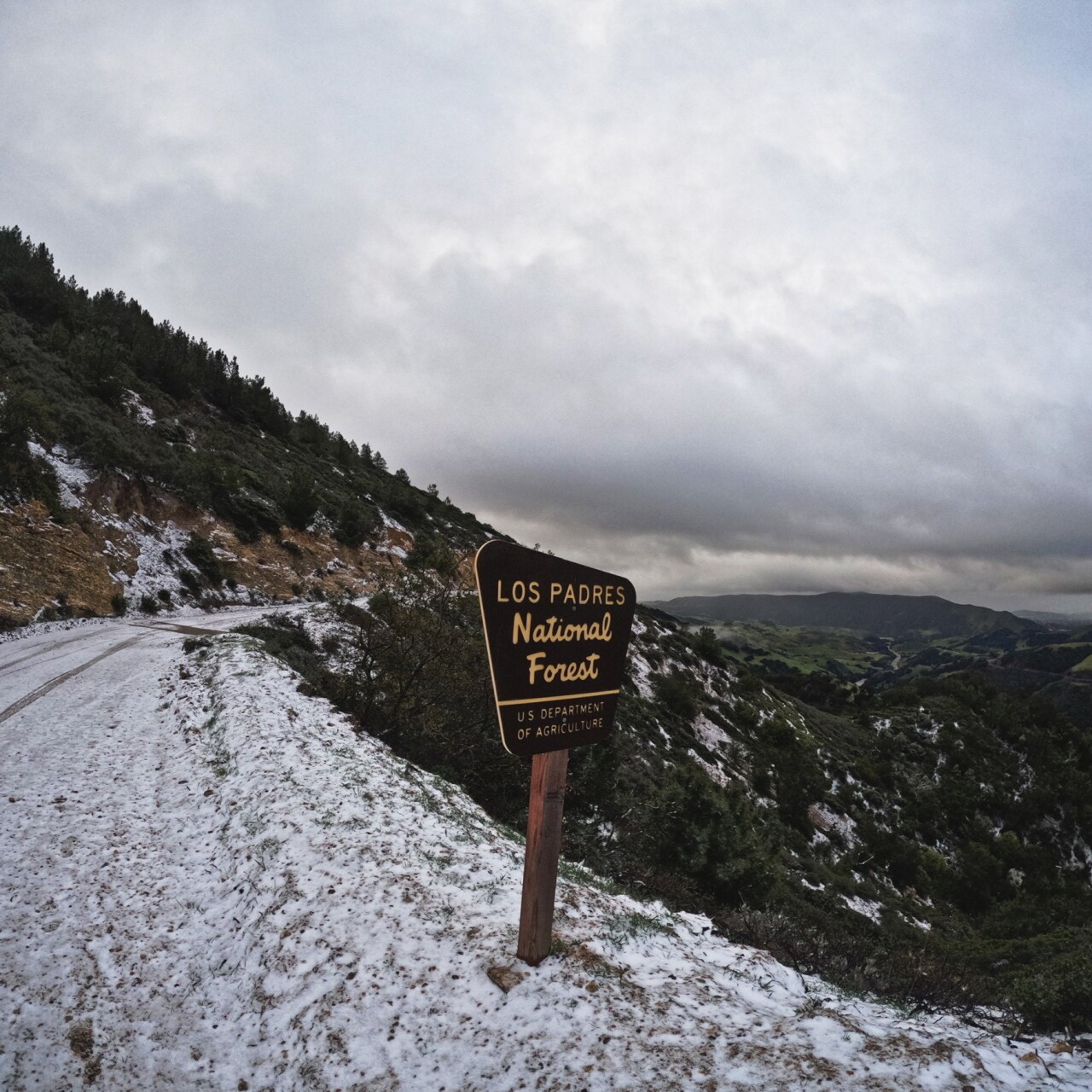 Andrew Turbyfill.jpg