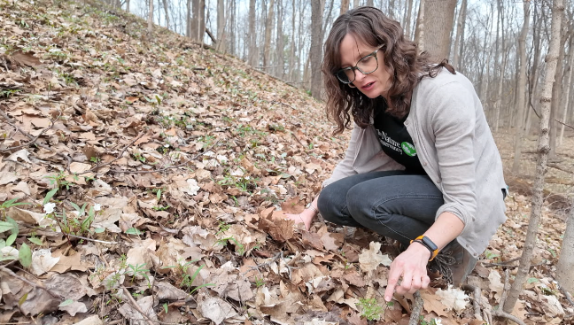 Screenshot 2026-03-30 at 6.02.06 PM.png