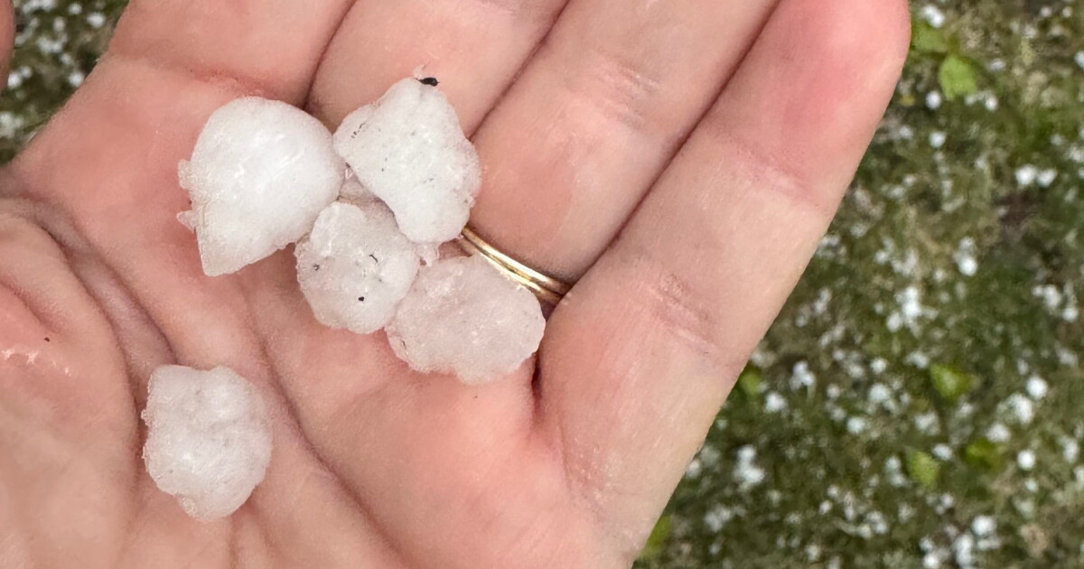 Little Hail OH HAIL NO! Severe storms drop more hail on West Michigan
