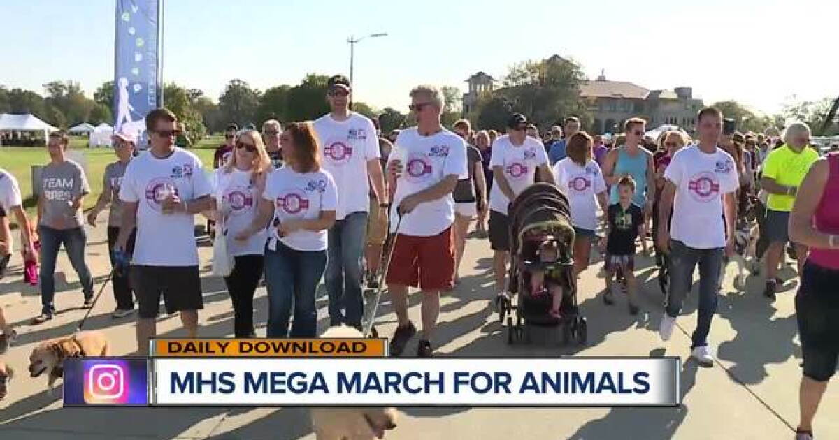 Marchforanimals Mega March for Animals is October 6 and 7