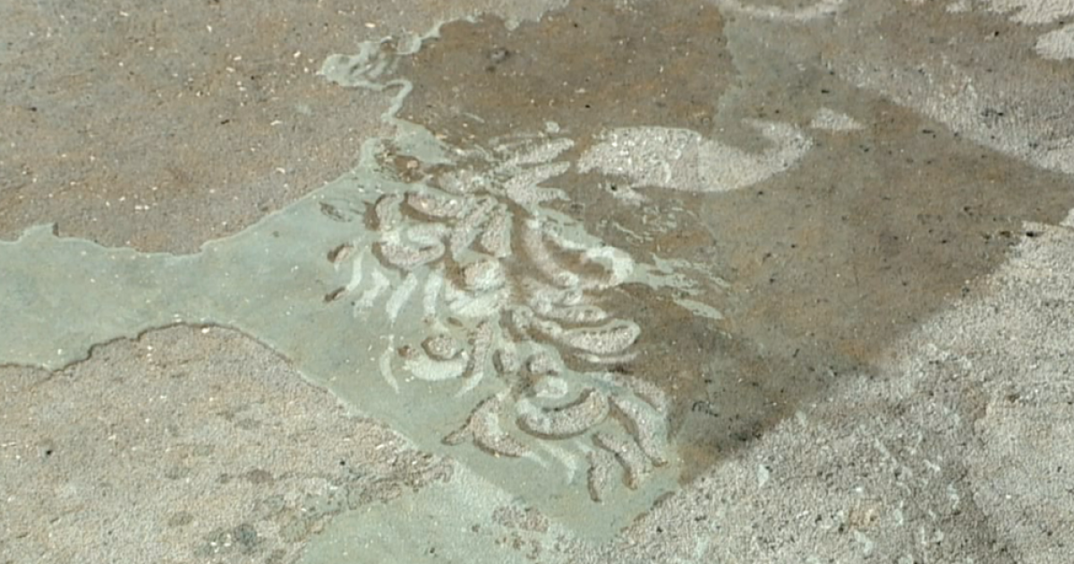 Rain chalk art hopes to beautify Clearwater neighborhoods