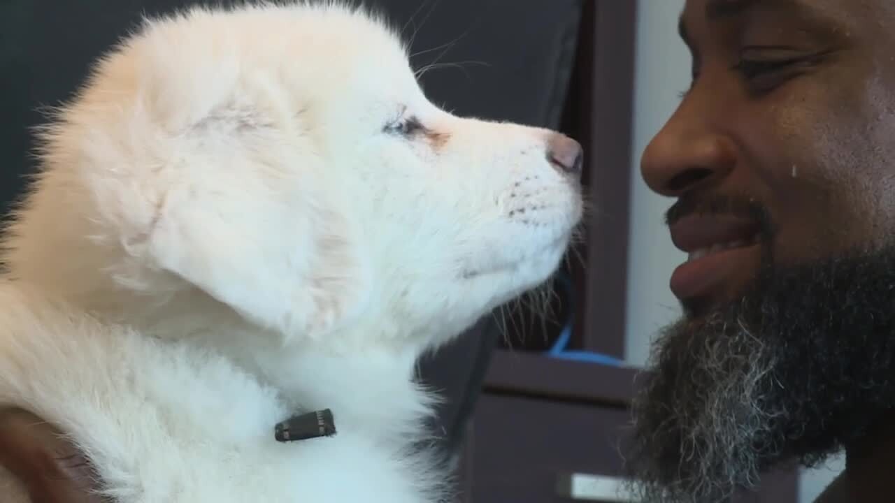 Puppy snuggle sessions at Richmond Animal Care and Control