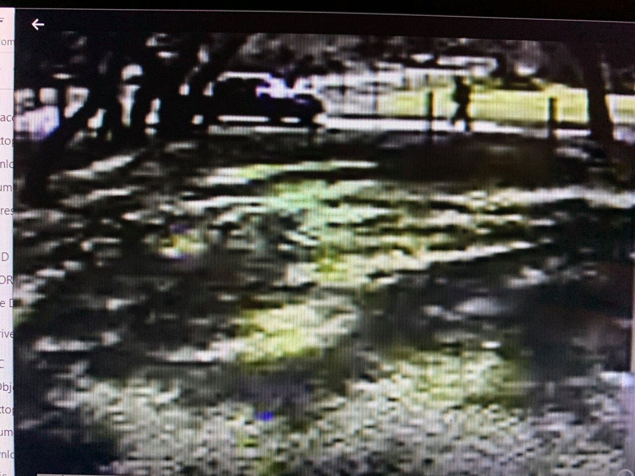 Suspicious Death investigation