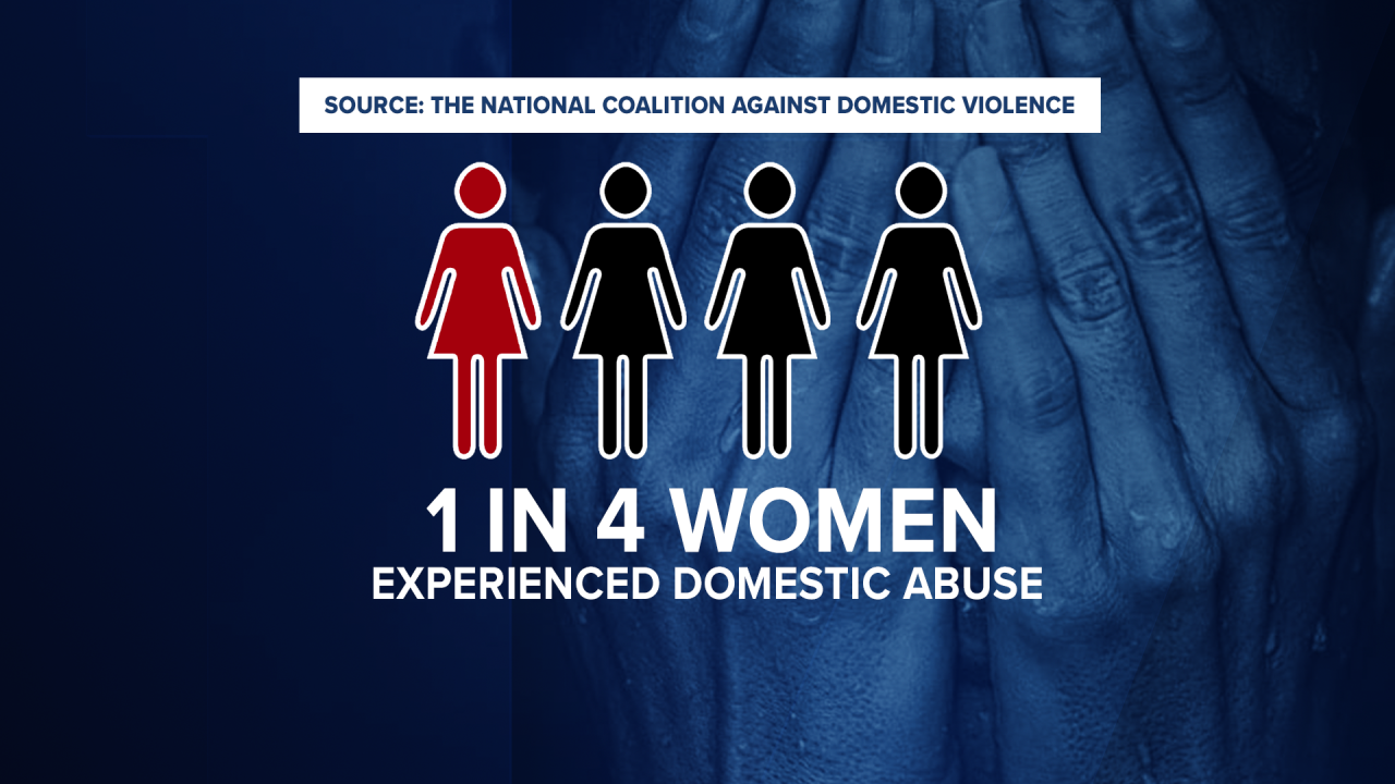 Domestic Violence Stats