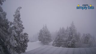 Snow on Mt. Lemmon 1/25