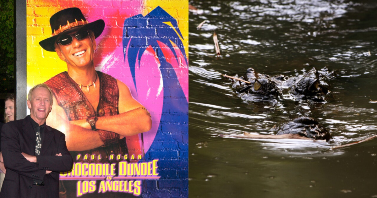 90-year-old crocodile from 'Crocodile Dundee' dies at aquarium in Australia