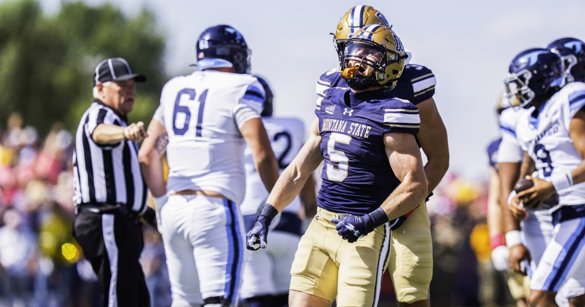 Montana State's Caden Dowler among finalists for Buck Buchanan Award