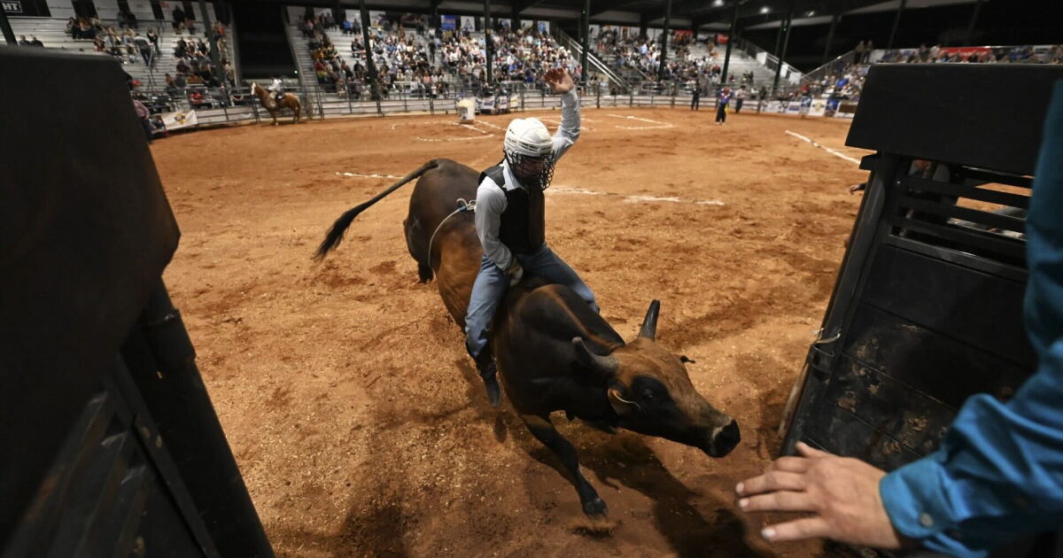 Bull rider survives a near-fatal accident during a Florida competition