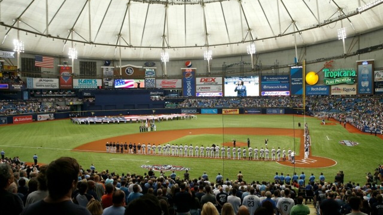 Tampa Bay Rays Fan Fest Coming To Tropicana Field Tampa Bay Rays Fan Fest Coming To Tropicana Field