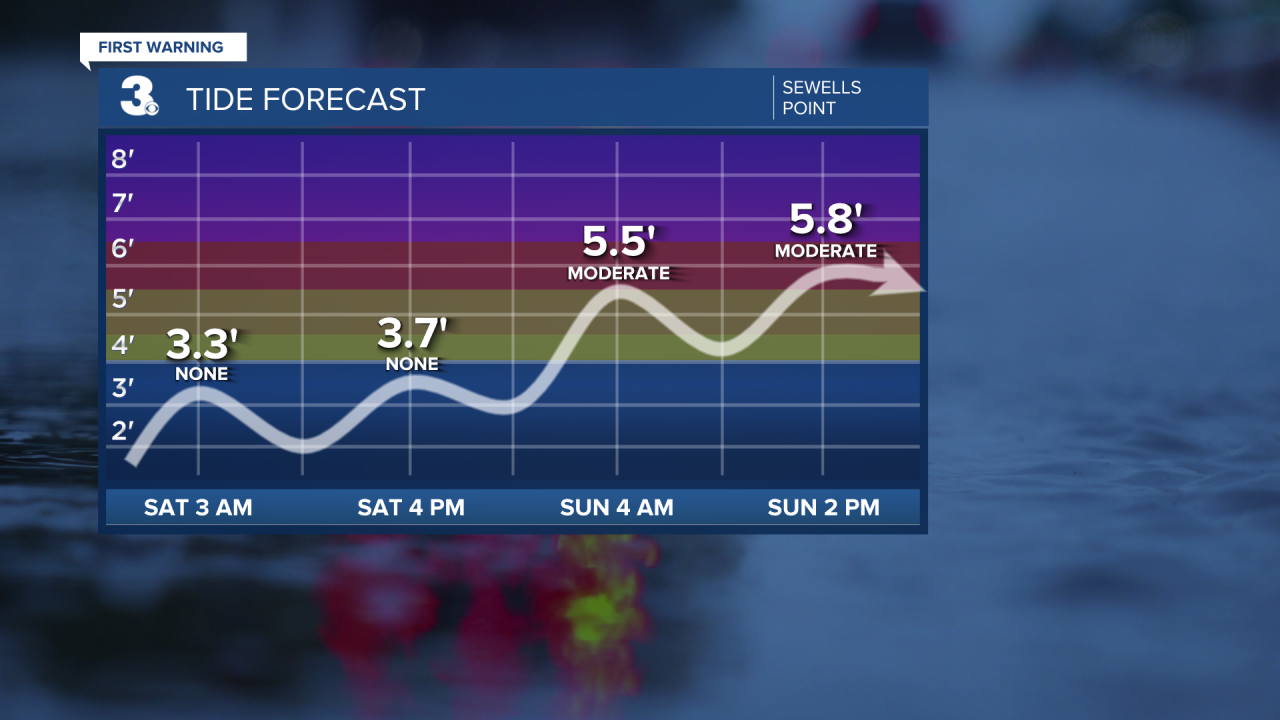 Tide Times - Sewells Point.png