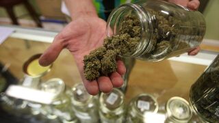 Four states consider legalizing marijuana