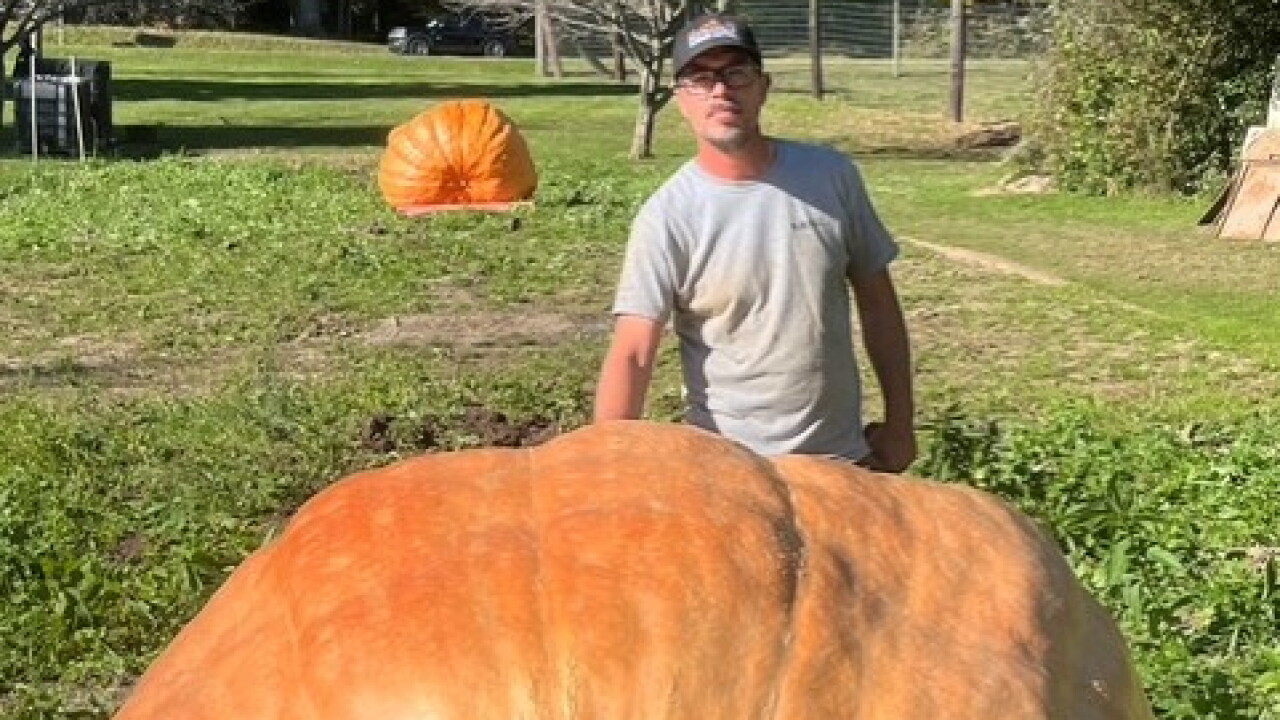 Big pumpkin.jpeg