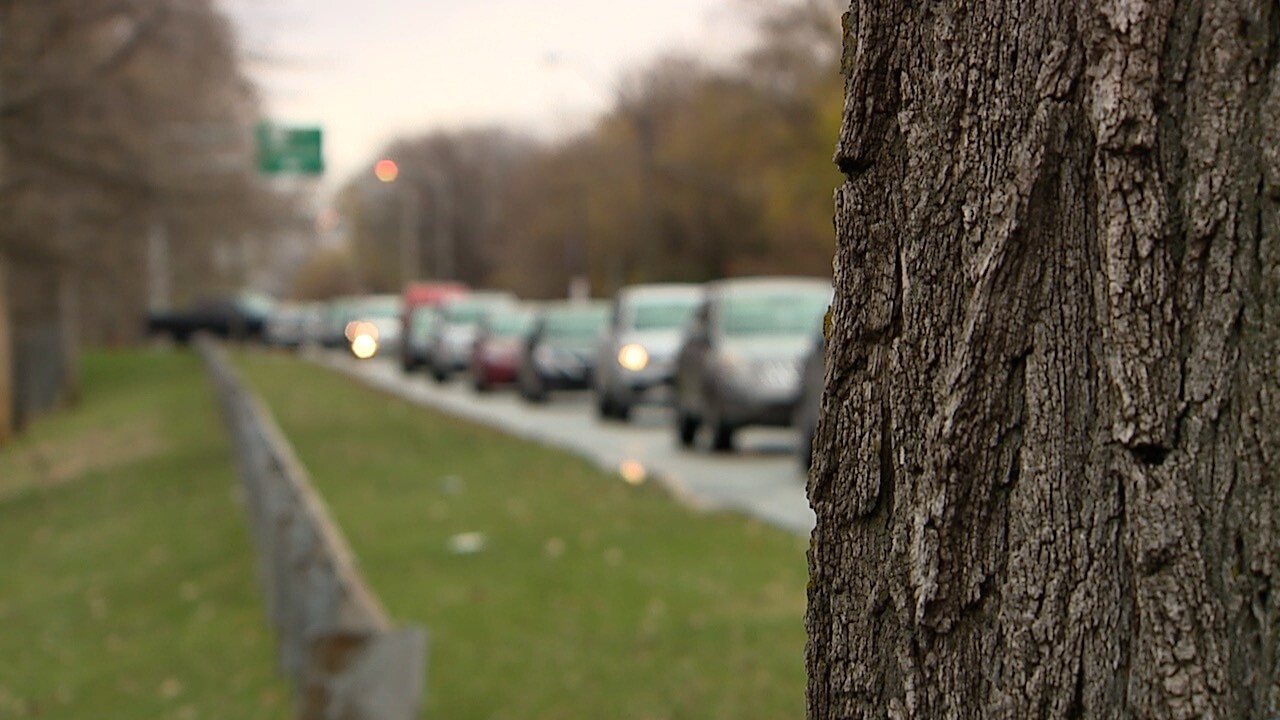 food bank distro 4.jpg