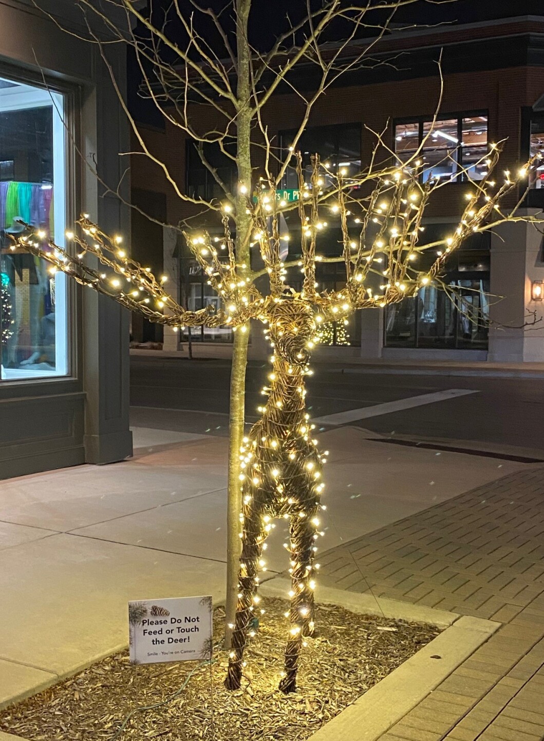 2020-lit up deer.jpg