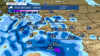 APRIL20SNOWCAST.png