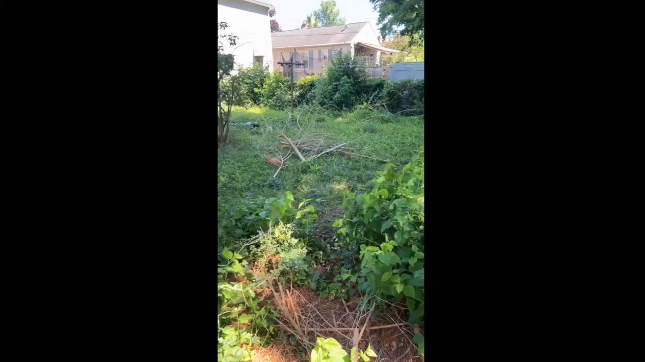 Screenshot 2025-08-01 at 10.21.01 PM.png