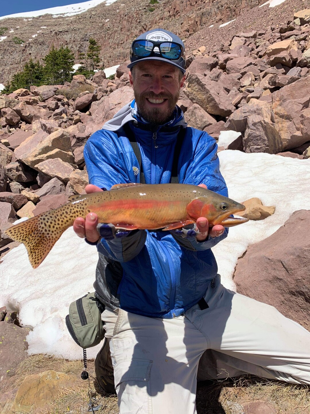 Golden trout.jpg