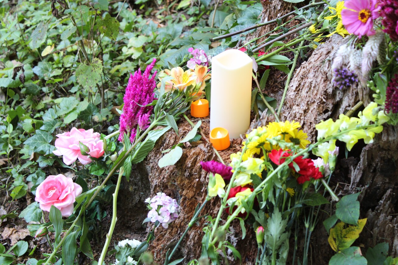 Rachel Morin Walk Flowers Trail.jpg