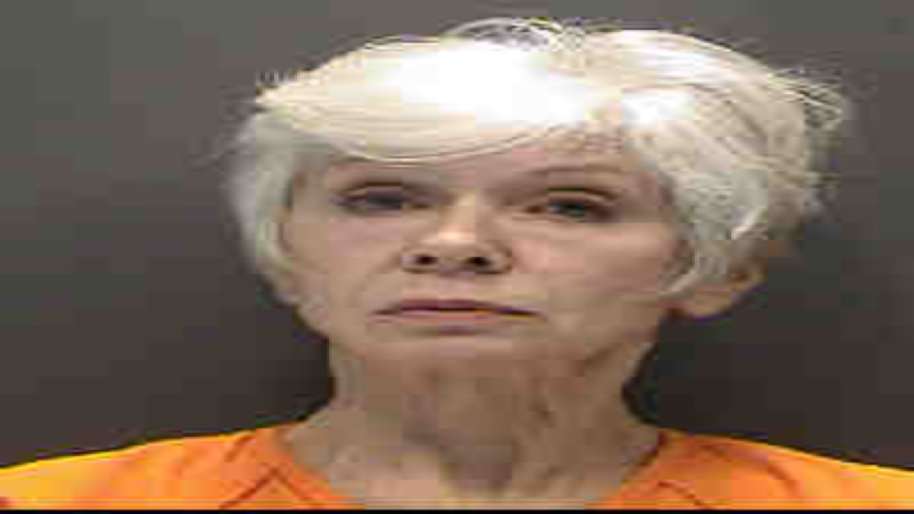 PHOTOS: Check out 100+ mug shots from Tampa Bay